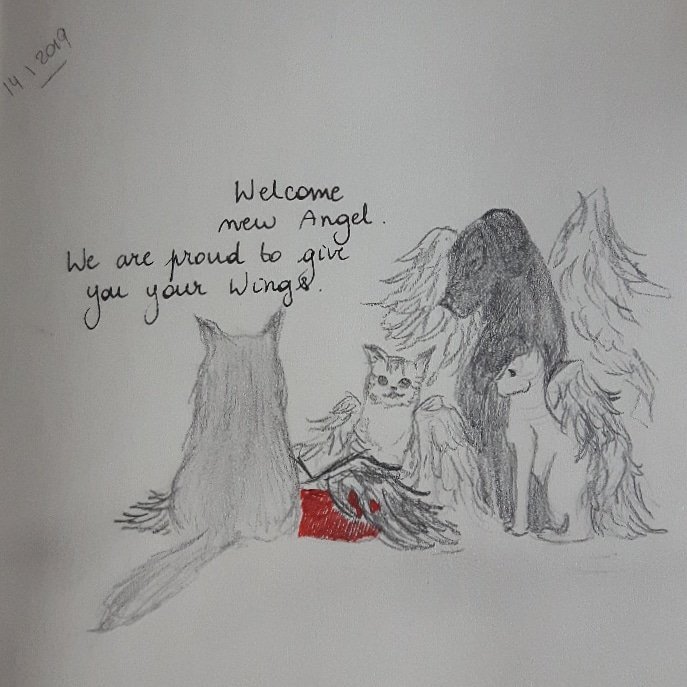 PatchesSeesAll's tweet photo. Welcome, new Angel #RIPSpook #blackkittysketch https://t.co/0Hs7WtRjeY