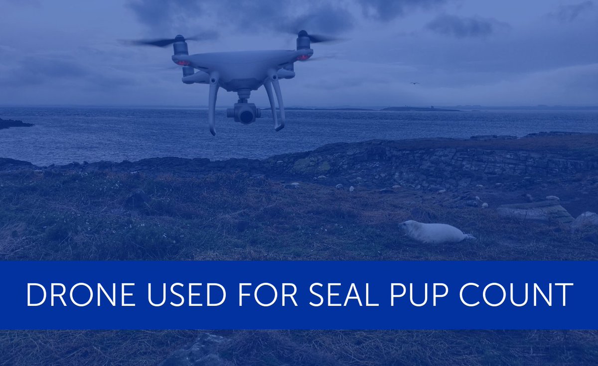 heliguydotcom's tweet photo. Drones have been used for the first time to successfully help count a colony of Atlantic grey seal pups off the Northumberland coast on the Farne Islands.

#dronesforgood #drones #nature #dji #blogpost #blog

Read the post here: https://t.co/V5x2dymmMg https://t.co/0QySjziEkY