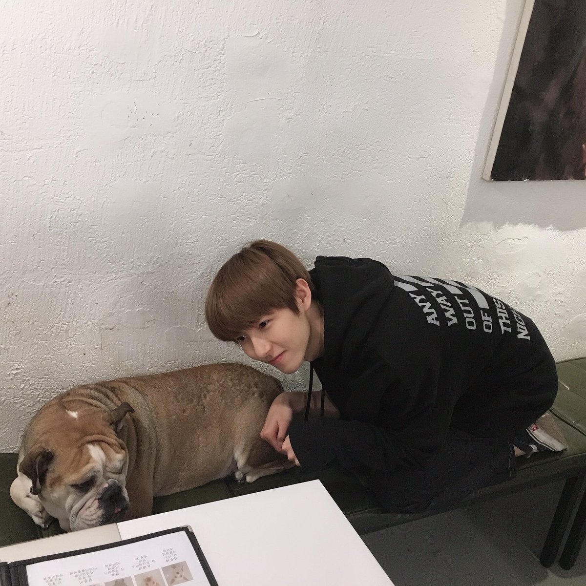 ss9_taetae's tweet photo. 可愛いね🥺🥺 https://t.co/gNsgu0enHv
