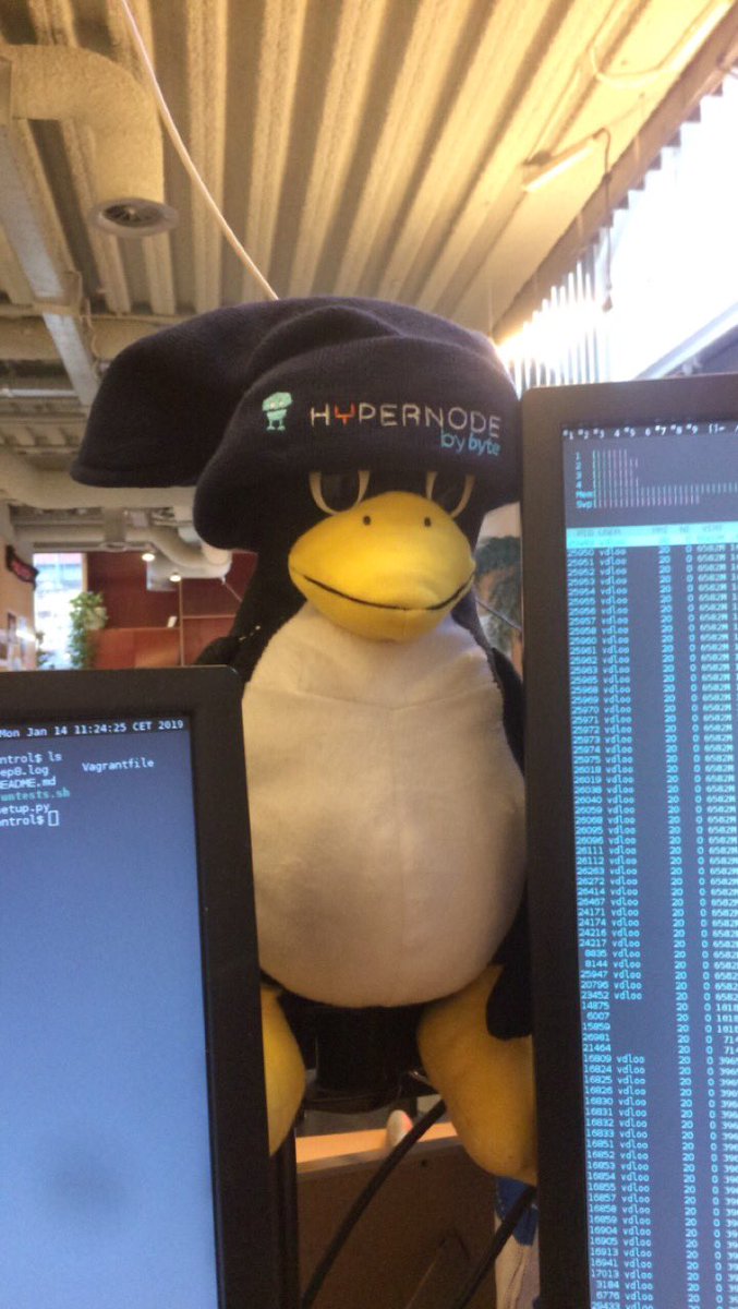 vdloo_'s tweet image. My Tux has a new hat #Linux #hypernode #magento