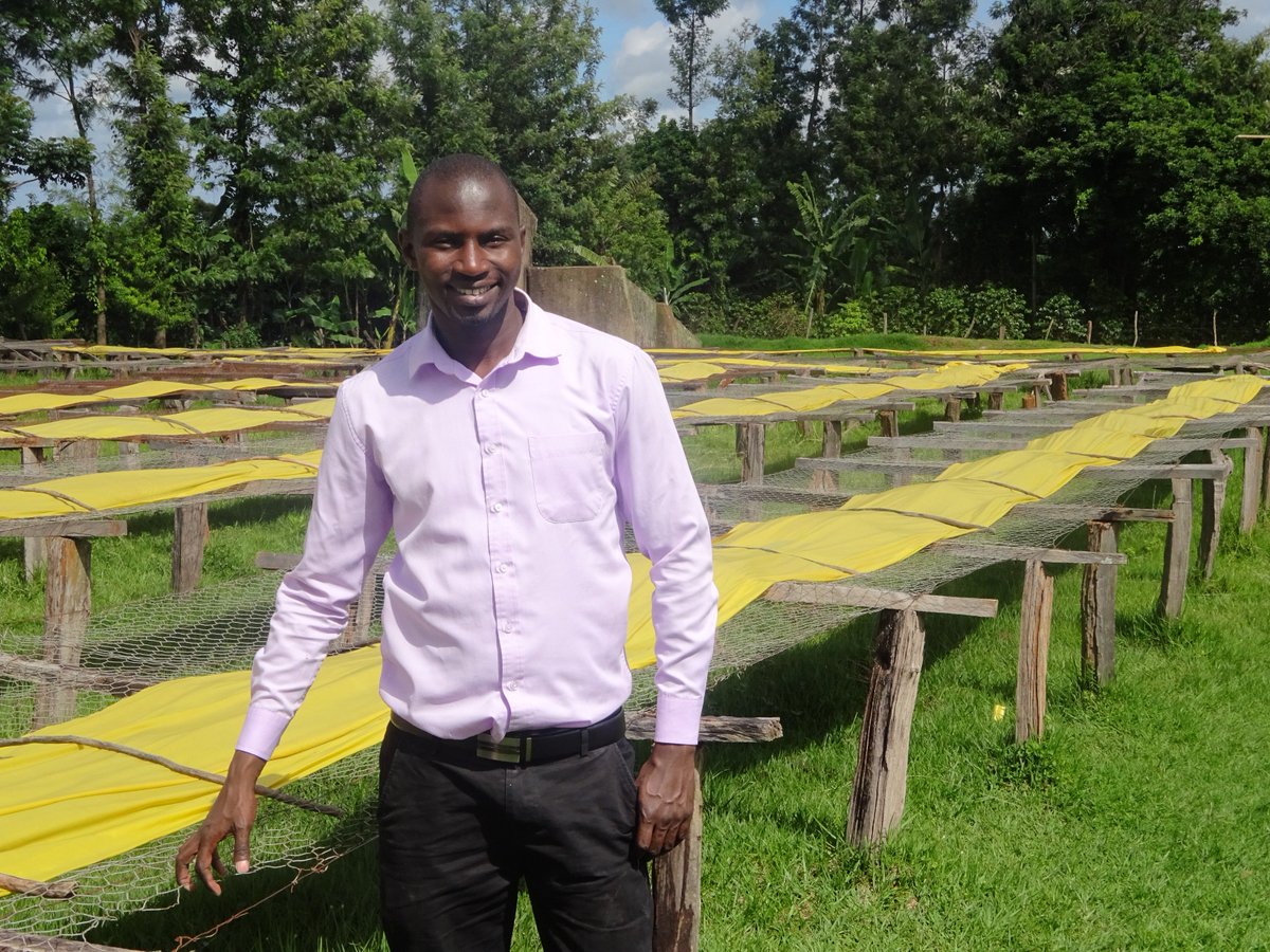 Meru Central Coffee Cooperative Union (MCCCU) aims to make #coffee production more rewarding for farmers. One way to do so is to increase the productivity per coffee tree by testing the #soil and applying the right #nutrients. Read their story: soilcaresfoundation.com/news/success-s…