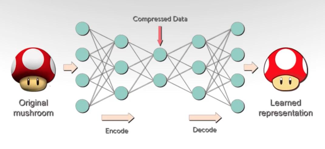 victor_iyi's tweet photo. Autoencoder is not only a very useful model but also a great starting point for learning more complex deep learning architecture. 

#MLProTips #AIProTips #protips #ai #MachineLearning https://t.co/nXPIOATnRF