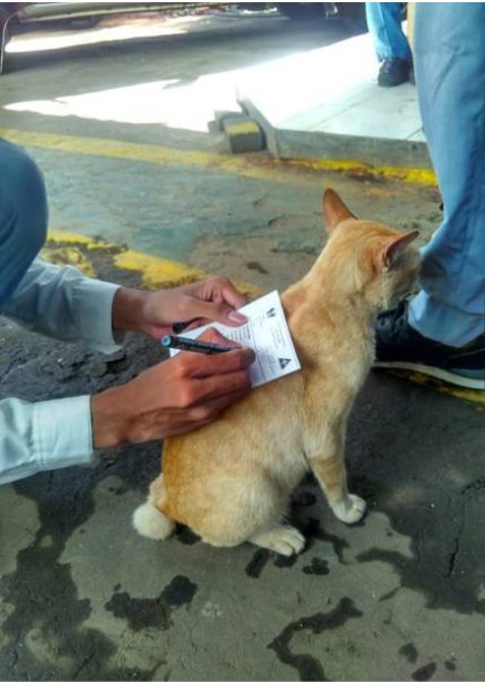 1CAK tweet media