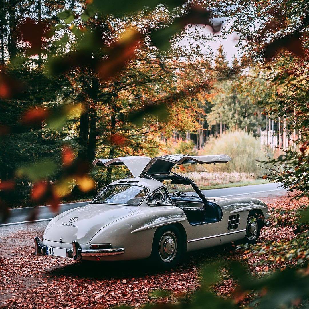 Fly Baby fly! 🌟 #MercedesBenz #MercedesBenzMuseum #300SL #Gullwing #Flügeltürer #mbfanphoto #MercedesBenzClassic 

📷 Stephan Bauer