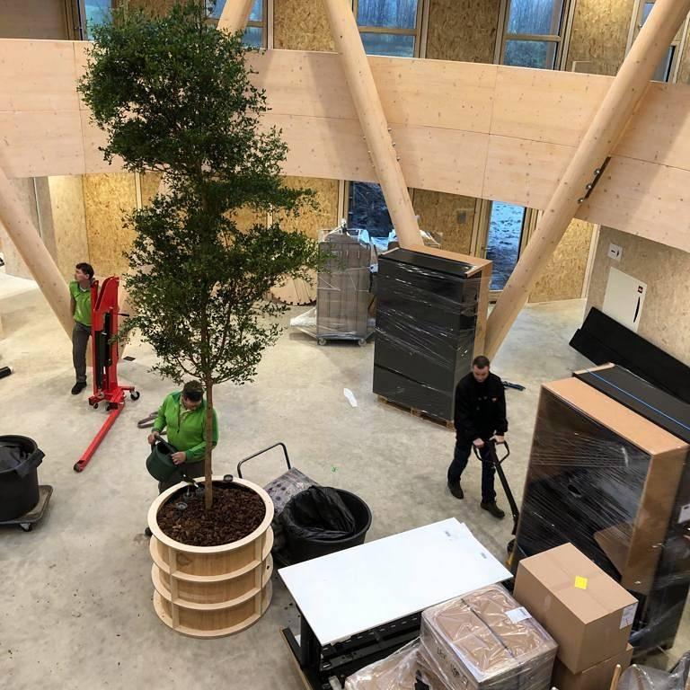 Bij een #gebouw met #natuurlijke #uitstraling hoort natuurlijk ook groen binnen 🌳 https://t.co/hefG2mo11A