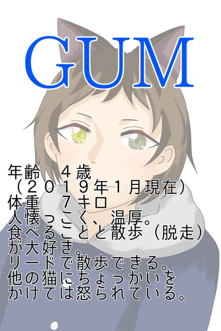 人化 高画質 のtwitterイラスト検索結果 古い順