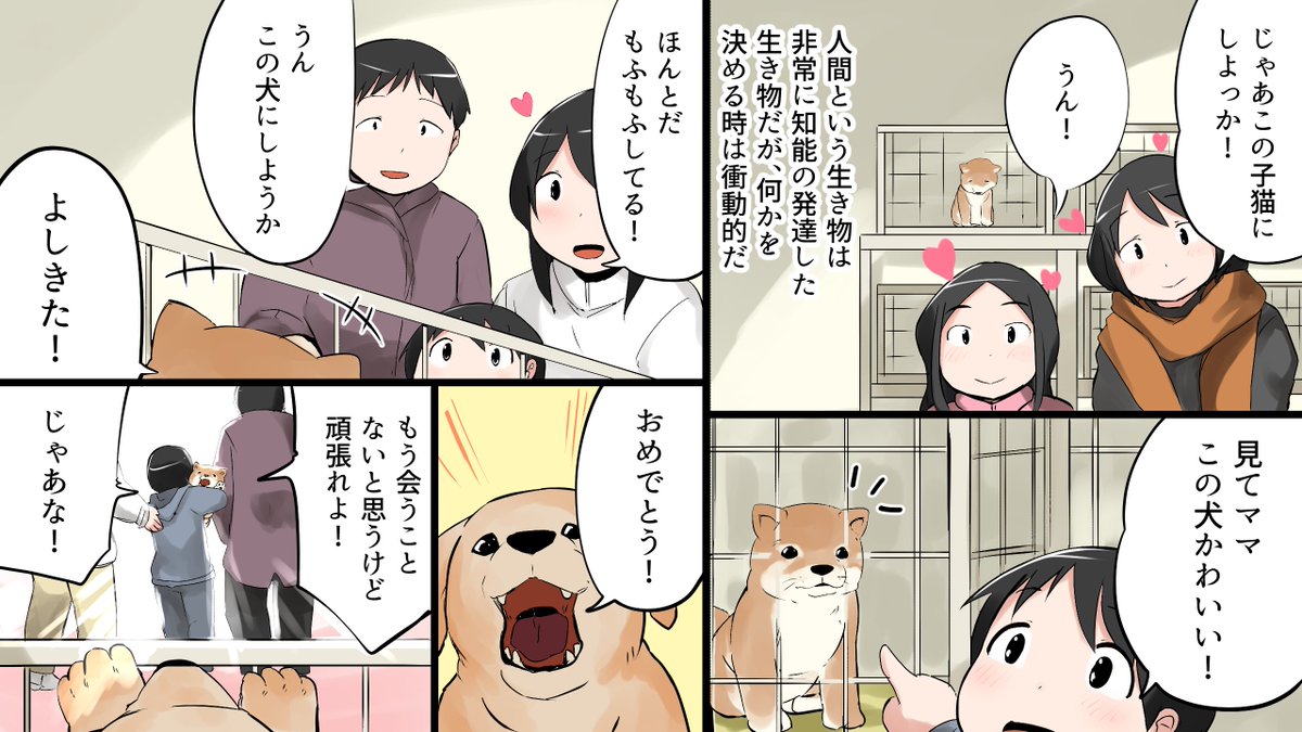 捨て犬になるとどうなるのか？/保健所の実態 