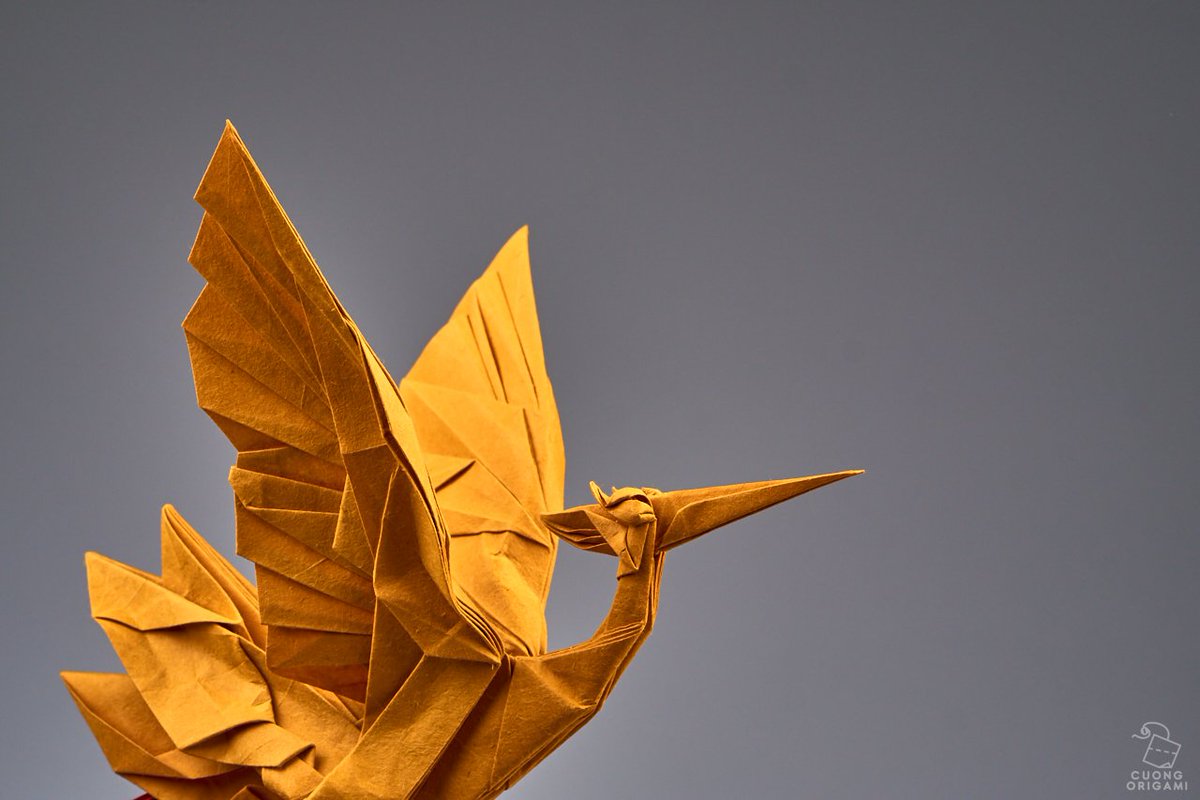 Cuong NGUYEN tweet media