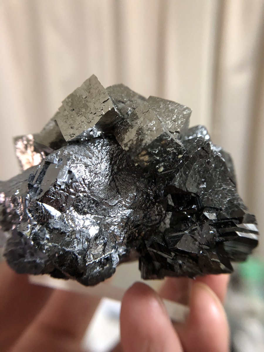 むっくる 金属系は机に置くより手に持ってベスポジ探す方が綺麗に撮れることに気付く 光の加減って大事なんやね 硫砒鉄鉱 上 方鉛鉱 左 閃亜鉛鉱 右 ギラッギラの金属鉱物 むっくる 金属系は机に置くより手に持ってベスポジ探す方が綺麗に撮れることに気付く 光の加減って大事なんやね 硫砒鉄鉱 上 方鉛鉱 左 閃亜鉛鉱 右 ギラッギラの金属鉱物