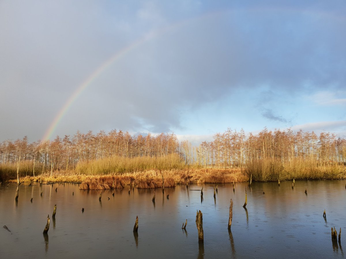Vanochtend mijn #dailywalk eindelijk weer eens in de zon!
Nou ja, niet alleen in de zon want dan had ik deze foto niet kunnen maken. 😉
#ontprikkelen #opladen