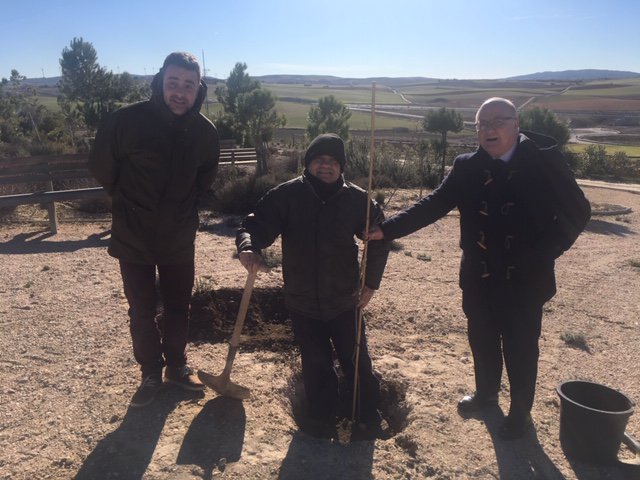 FundacionSoliss's tweet photo. 🌳🌿 El #ProyectoOlmo de la Fundación Soliss llega a las localidades conquenses de Paredes y Alcázar del Rey, que ya cuentan con un ejemplar de olmo autóctono resistente a la grafiosis. ¡Larga vida a estos olmos! https://t.co/qQETn0GDf7