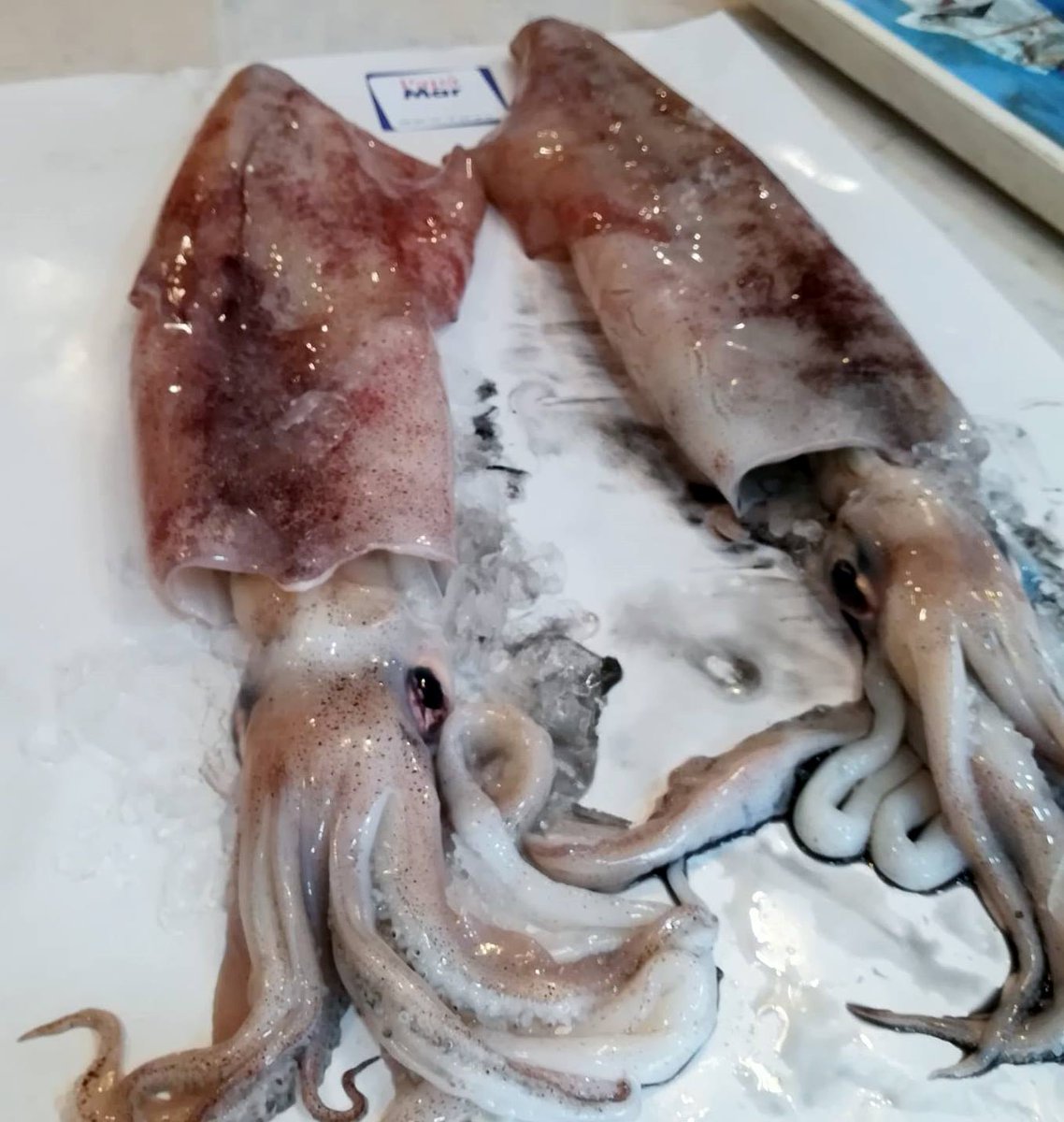 papamarmadrid's tweet photo. La semana se empieza con #pescado y nosotros podemos hacernos con los mejores ejemplares ¿Estas preparado para comer rico y sano con #PapaMar?

#FelizLunes #PescaderíaMadrid #Pescado #ProductosFrescos #Fish #Fisher #Madrid #ProductosDeCalidad #Productosdetemporada https://t.co/vg10aN9j9q