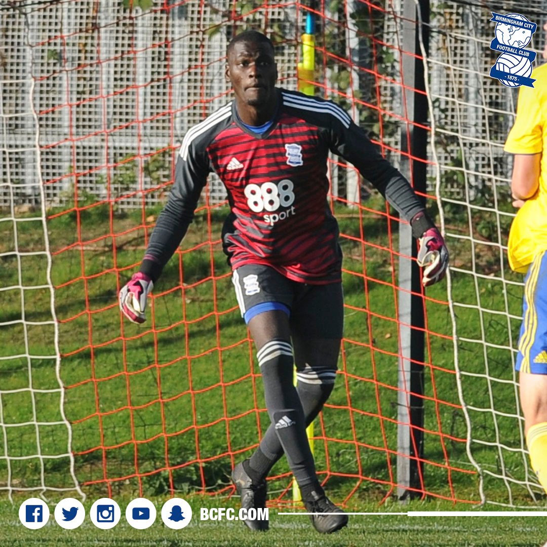 Bcfc news sale