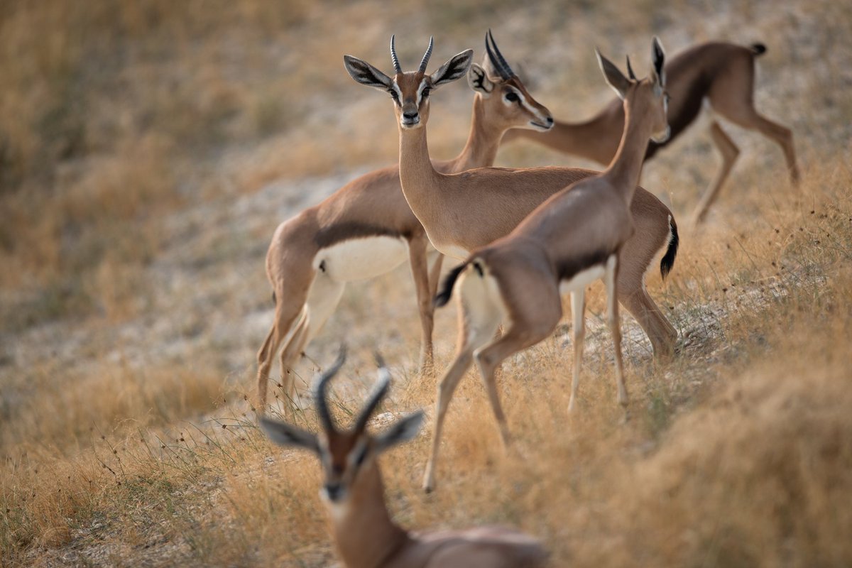 The Player Invitational - “Making a Difference” - tweet media