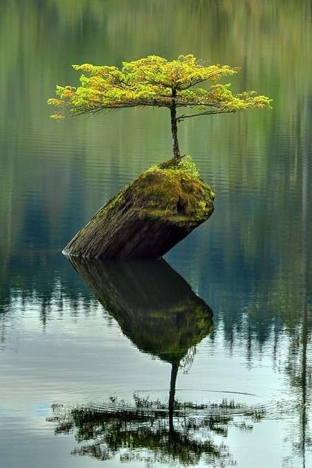tito1265aa's tweet photo. Nature insolite. https://t.co/ifiEfAc2LT