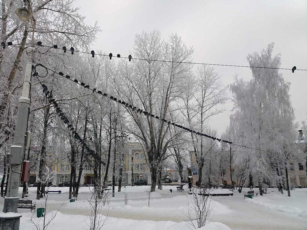 Кинешма. Зимы очарование. Приезжайте. 
#кинешма #зима #путешествиепороссии #russianwinter #visitrussia