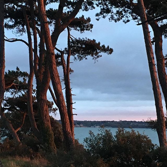 whbyseadub's tweet photo. Unfiltered beauty on the South Coast https://t.co/pefa1f4te9 https://t.co/ZXYUQCg81u