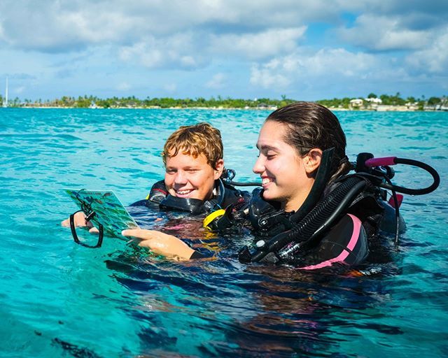 SamJPeat's tweet image. Another final image for the #Bahamas client! I’m doing a #PADICourse in London in a few months to get some qualifications. I think diving is as close to being in a different world as you can get. 👽🐠 #AdvertisingPhotographer #LoveMyJob #Diving #Behind… bit.ly/2ALXBlG