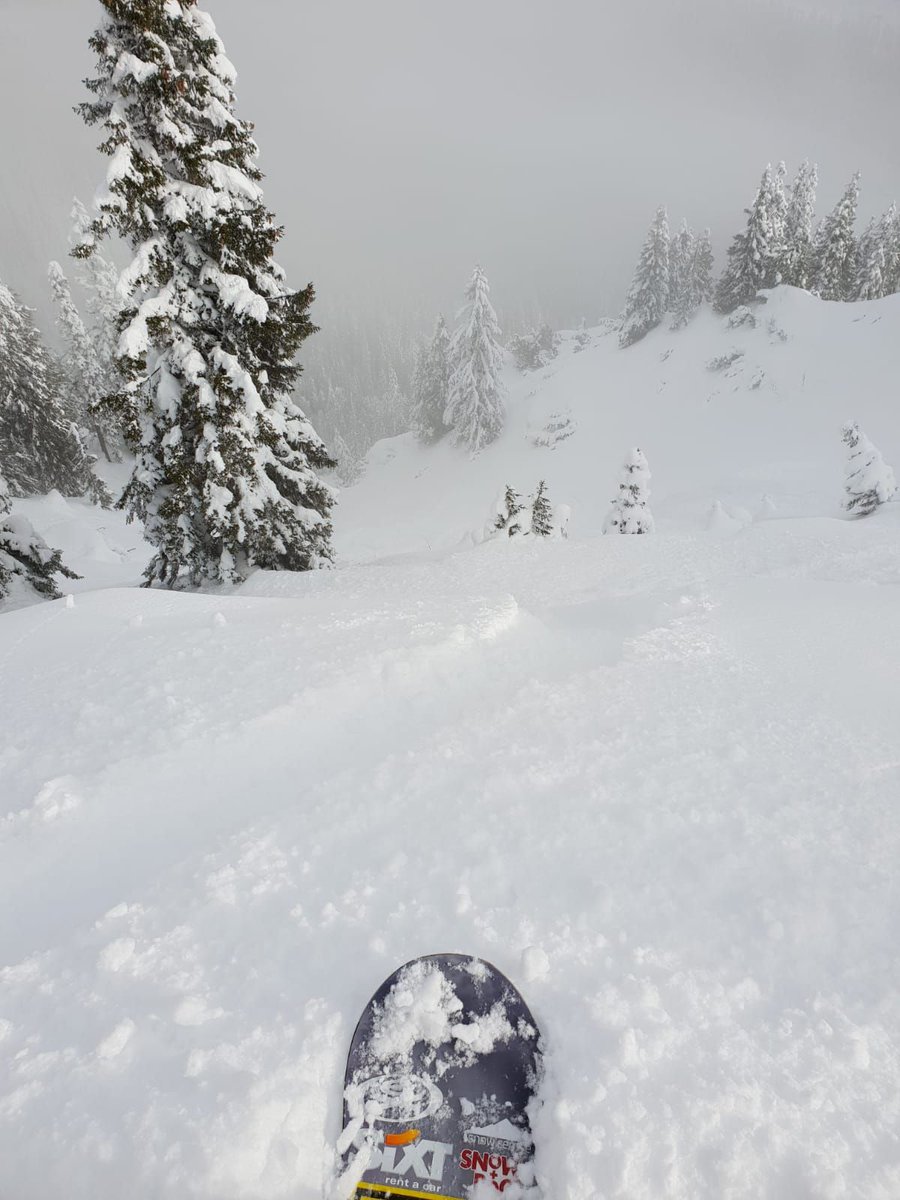 GBParkandPipe's tweet photo. It's dumping it down in Laax at the moment, which means that the Laax Open World Cup has been delayed. @jamienichollsuk is searching for fresh tracks whilst he waits for the weather to improve and the contest to get underway! #GoBeyond #LoveSnowboarding https://t.co/tOEZTEV842