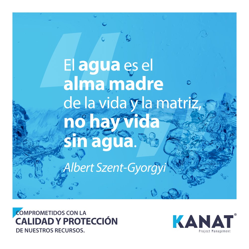 Kanat Corp tweet media