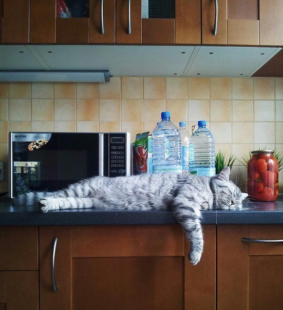 Dw43YElWwAA4sMw.jpg:large