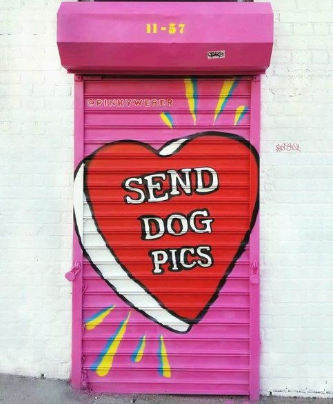 paulemagazine's tweet photo. Dog pics are the new nudes! https://t.co/1iqMBMMGck
