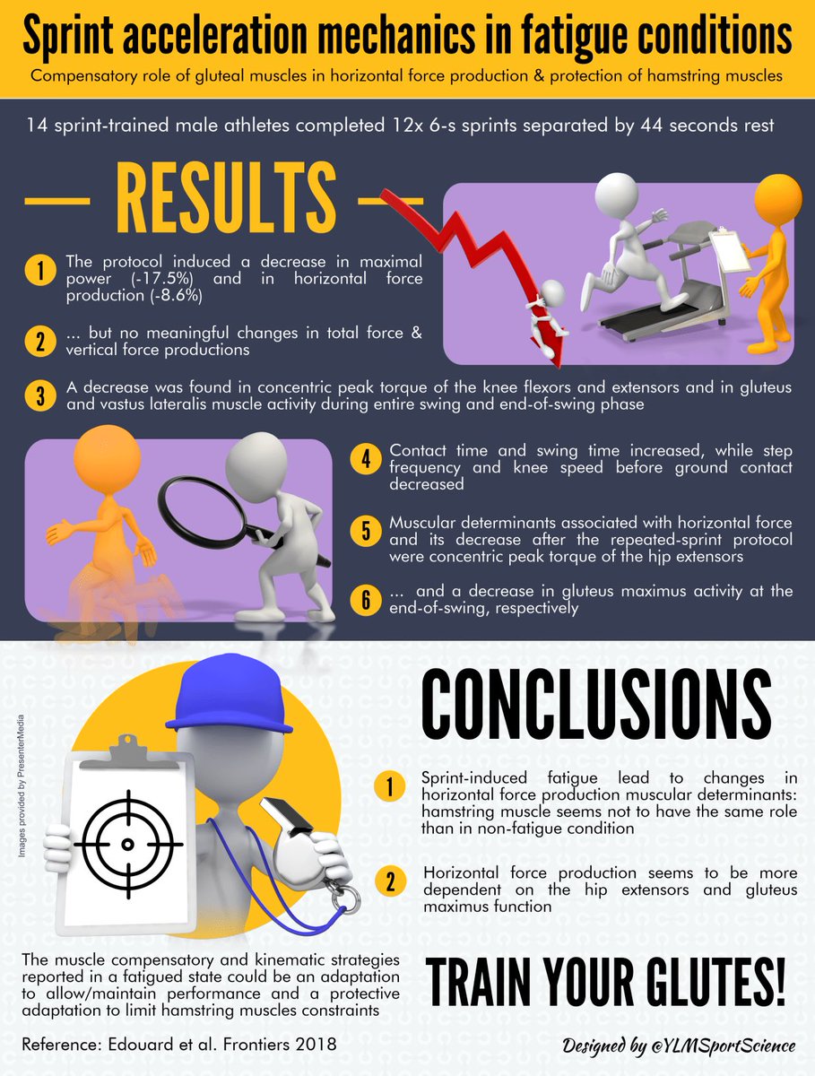 YLMSportScience tweet media