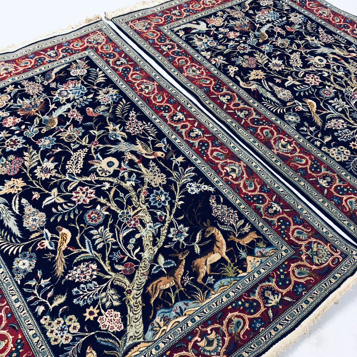 PersianRugClean's tweet photo. Beautiful pair of #Kashan rugs washed today.
.
.
.
.
.
#persian #persianrug #persianrugs #persianrugcleaning #rugcleaning #rugcleaninglondon #iran #kashanrug #wool #animals #animalscene #deer #birds #ihavethisthingwithrugs #iran🇮🇷
https://t.co/rN1THvNU9a https://t.co/8KJcLT8FOY