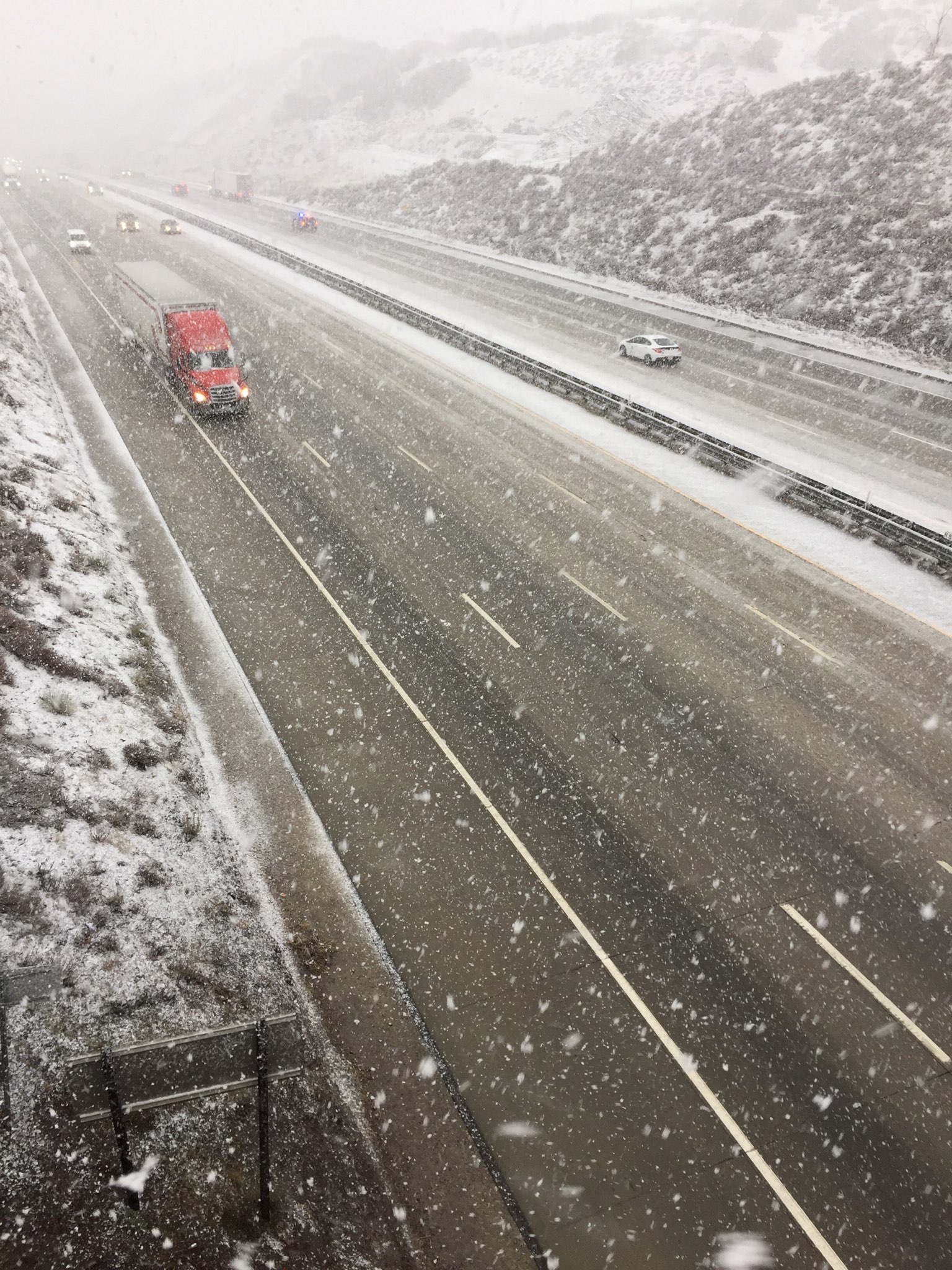 View image on Twitter