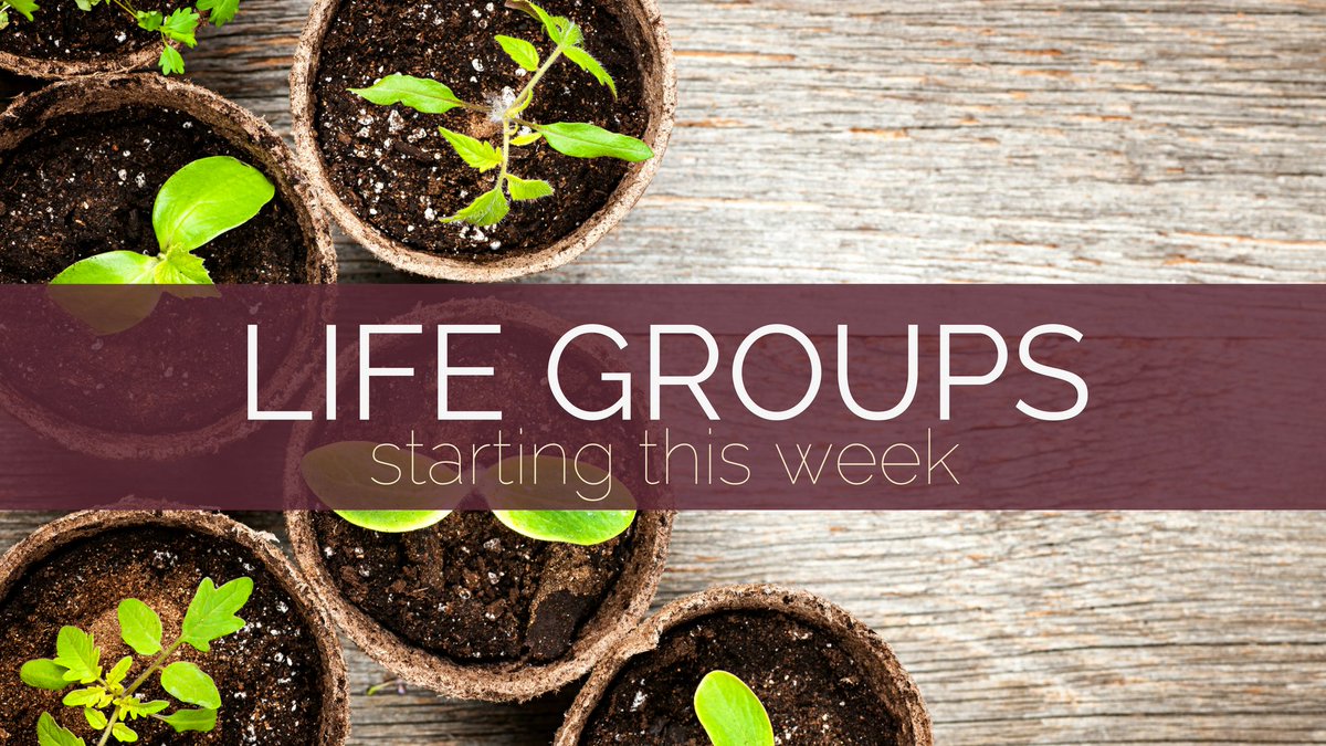 NewLifeBC's tweet image. Life Groups start this week! We've had a wonderful break, but miss our regular community. Find a group here: ow.ly/1ENt30njefn #bettertogether