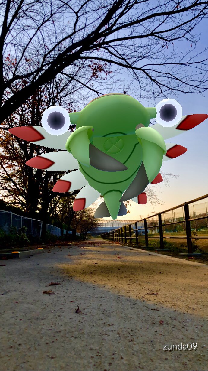تويتر ずんだオレ على تويتر アノプスの口 ポケモンgo アノプス Pokemongoarplus Pokemongoar ポケモンgoar写真 T Co Y09aroneah
