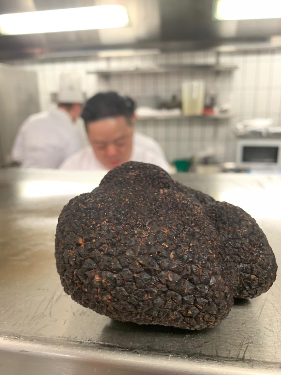 Guillaume Galliot tweet media