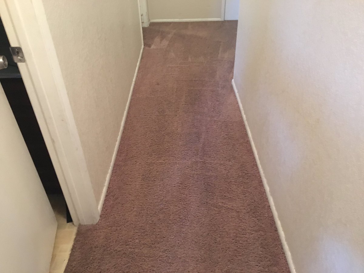 CardinlCarpetAZ's tweet photo. Carpet cleaning in Glendale Arizona. We are a five star carpet cleaning service. No hidden fees no tricks no smoke and mirrors. Call today for your free quote and carpet cleaning details.Mon-Sat.8am-8pm.(602)678-1536 #Carpetcleaning #Upholsterycleaning #Schemm #Googlemybusiness https://t.co/7dHBt35aen