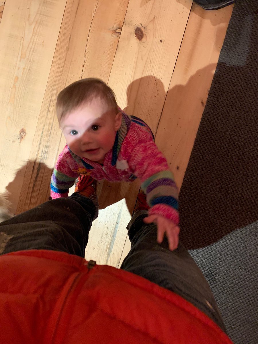 JDMorgan's tweet photo. My view. Too mobile these days... if I need to get something done... No pausing! Babygal is EVERYWHERE. Mostly here. ❤️ https://t.co/6VRdfKhNAc