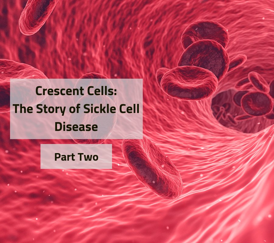 It's time for the next instalment of our #GeneticDiseases series! Click here for Part 2 of our #SickleCell post! #scicomm #health seekingsciblog.wordpress.com/2019/01/14/cre…
