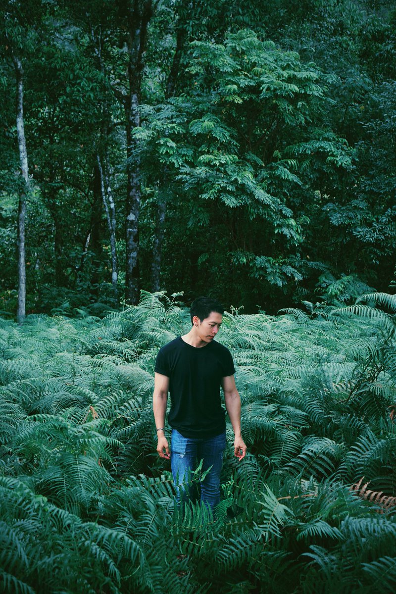 sandwiz's tweet image. Everything happens for a reason #SWMN