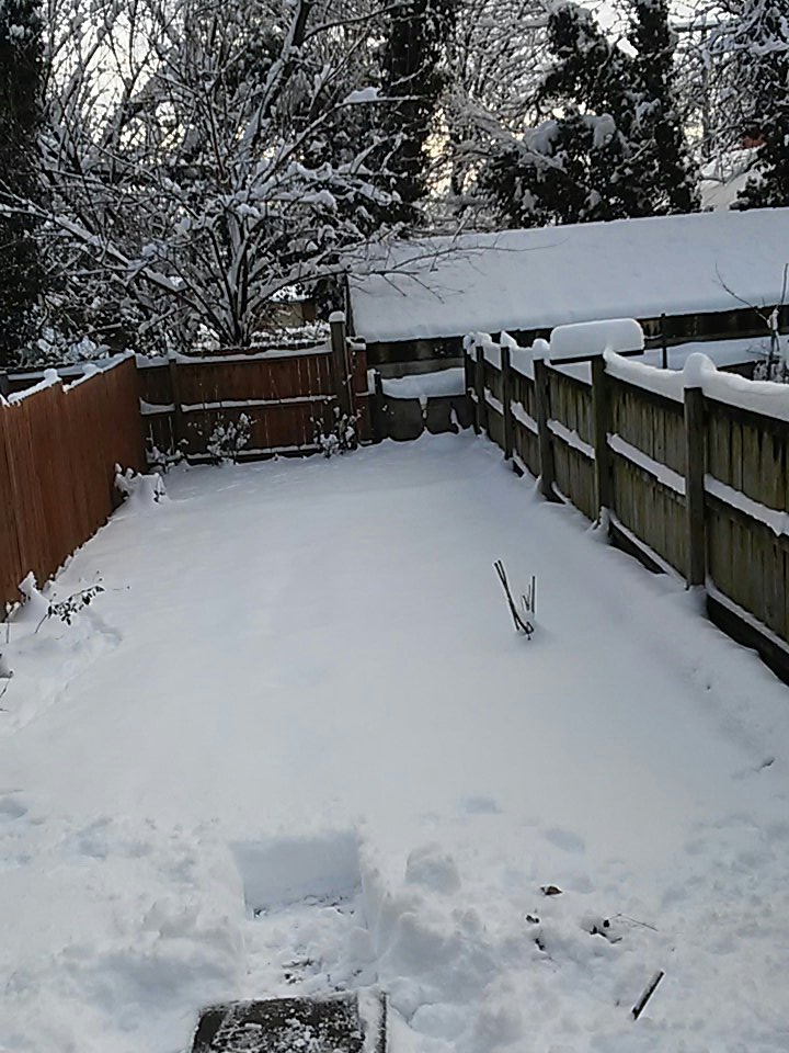 SorberLynn's tweet photo. @MelissaNordWx @hbwx @TenaciousTopper @MiriWeather Pictures of my back yard. #wusa9weather #snow #snowday9 #martinsburg #wv https://t.co/kaQBPJK6cq