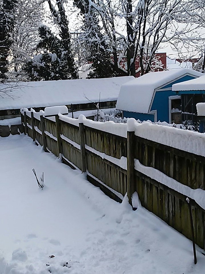 SorberLynn's tweet photo. @MelissaNordWx @hbwx @TenaciousTopper @MiriWeather Pictures of my back yard. #wusa9weather #snow #snowday9 #martinsburg #wv https://t.co/kaQBPJK6cq