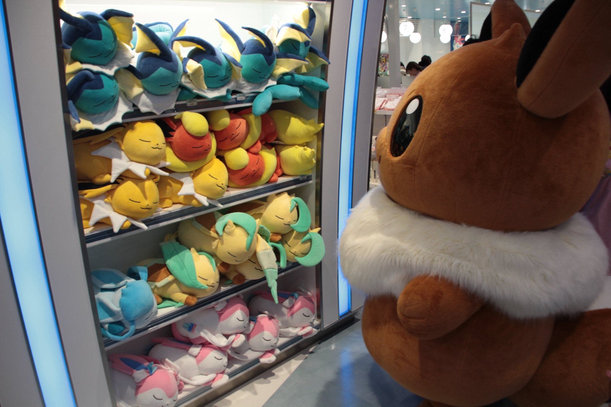 טוויטר どれえる בטוויטר 自分のすやすやぬいぐるみを探すイーブイ プロジェクトイーブイ イーブイ T Co Sr8qx8jcno