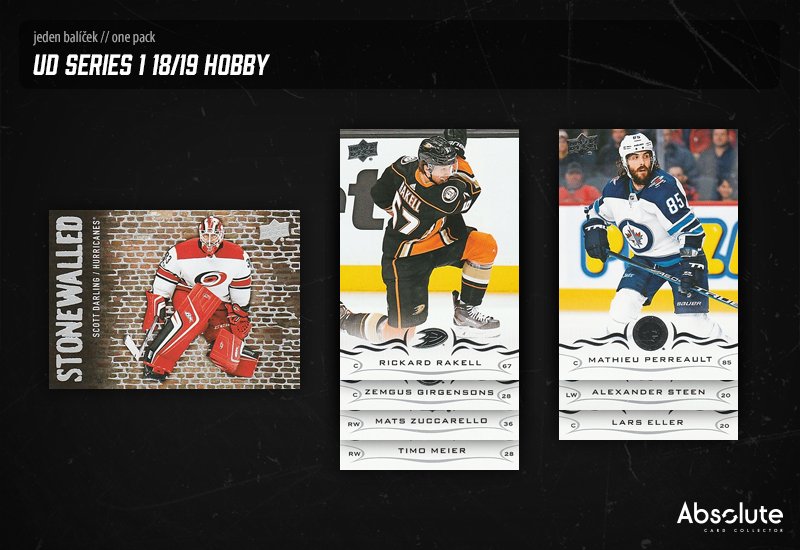 AbsoluteCardCol's tweet photo. Upper Deck Series 1 18/19 Hobby #hokejovekarty #sberatelskekarty #hokej #sberatelstvi #UpperDeck #Series1 #StoneWalled #ScottDarling https://t.co/CmQzsdzVEW