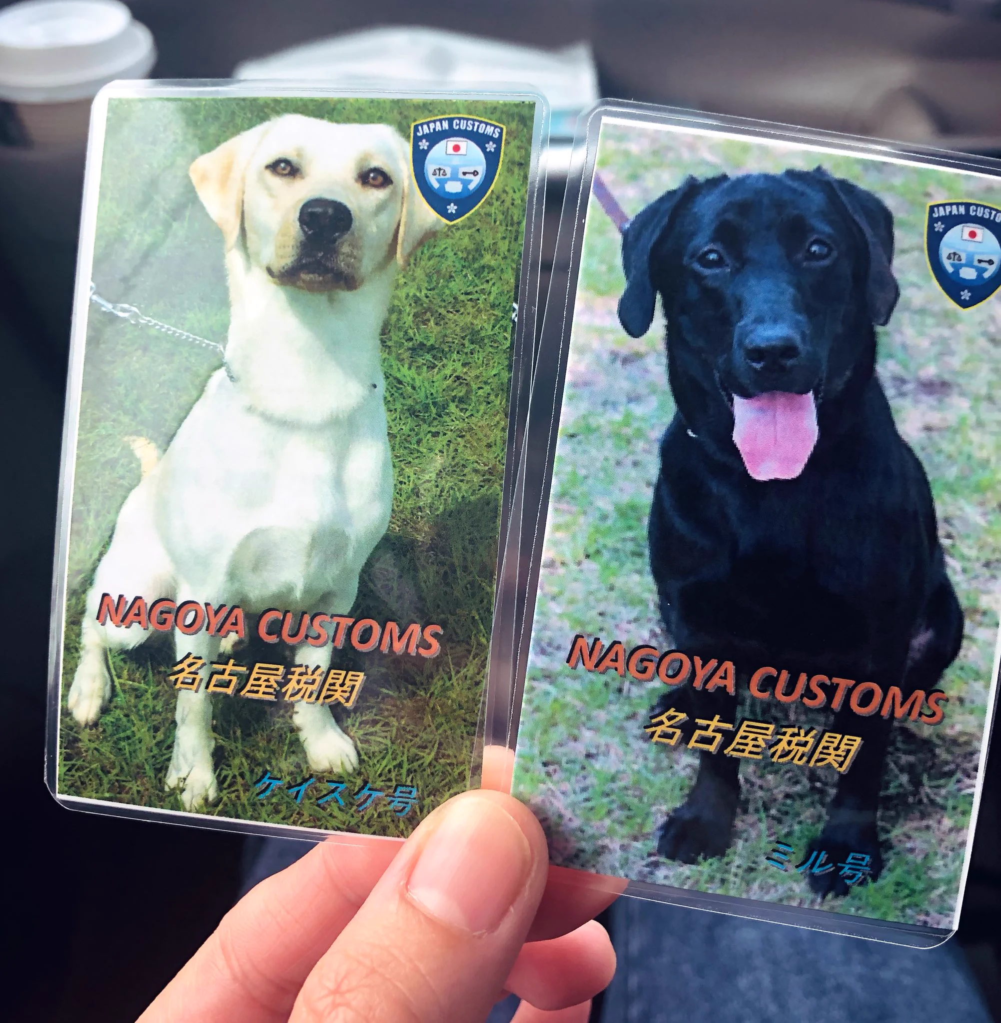 空港で麻薬犬の訓練に協力してほしいって言われることがあるのねww知らなかったww