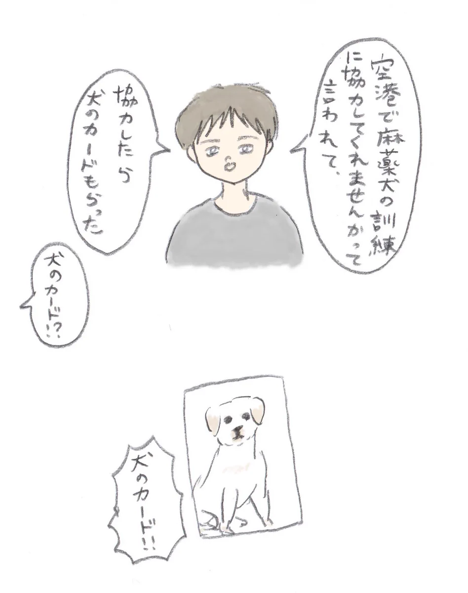 空港で麻薬犬の訓練に協力してほしいって言われることがあるのねww知らなかったww