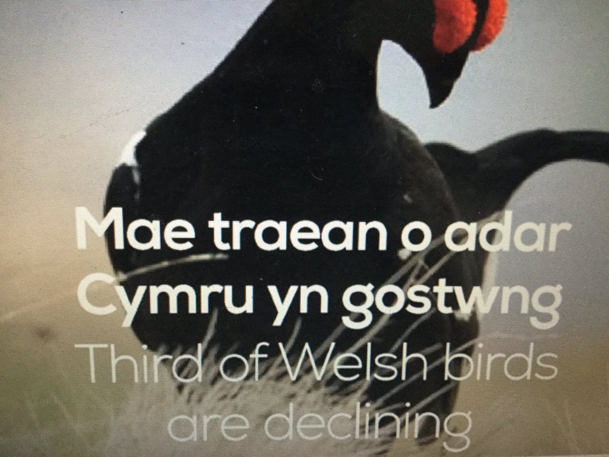 MrRoberts_YCS's tweet photo. Cynllunio ein prosiect newydd #ProblemONa

Planning our latest project #OhNoProblem https://t.co/aIwn8gNcGJ