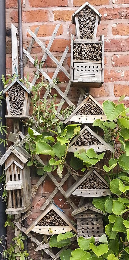 🌱SEEDBALL 🐝 tweet media