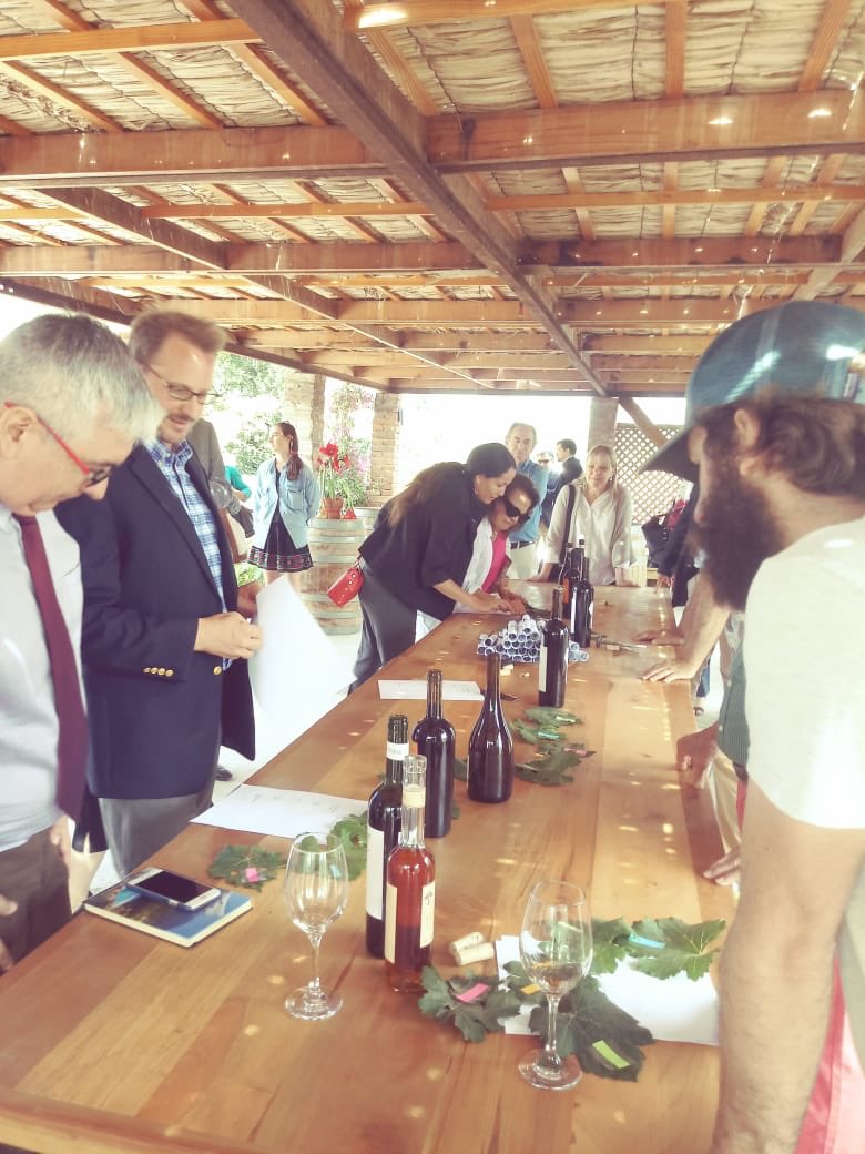 corpo_rm's tweet photo. Participación en la inauguración de #IPRO #CorfoRM la primera Biblioteca Viva de la Vid en Chile Casona Alquería -Viña Terramater junto a @Economia_RM @alvaroundurraga @GoberTalagante https://t.co/Kv0lAkS9JP