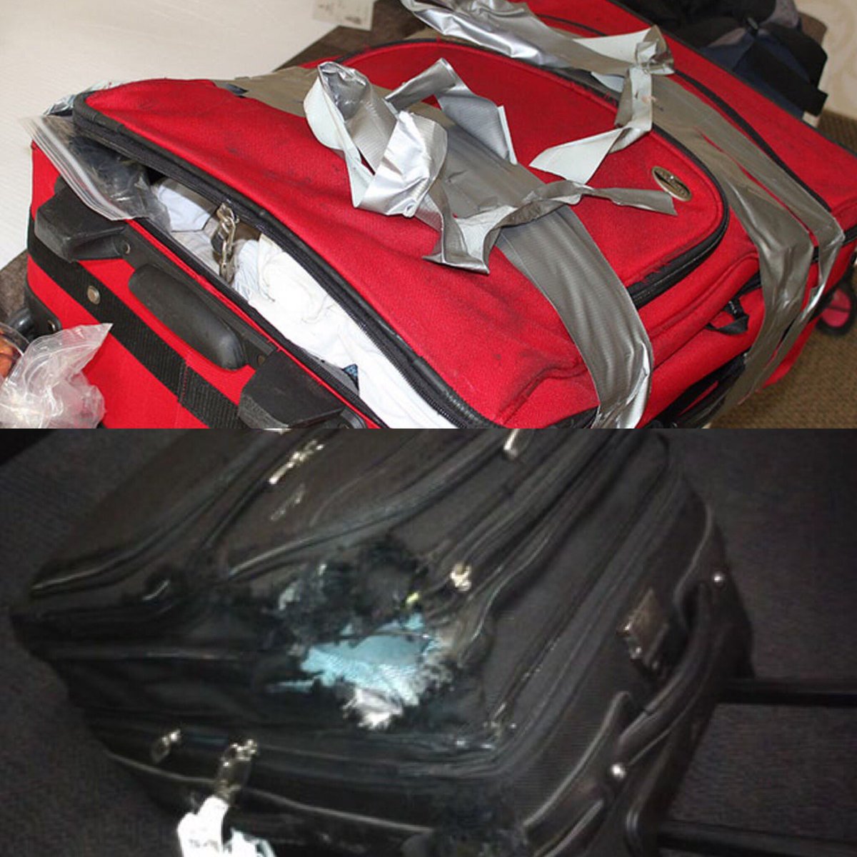 1/If you’re going to trust an airline with your luggage or gear, know your rights! More than 87 percent of U.S. travelers don't file claims against airlines for lost, damaged or delayed luggage. The main reasons?