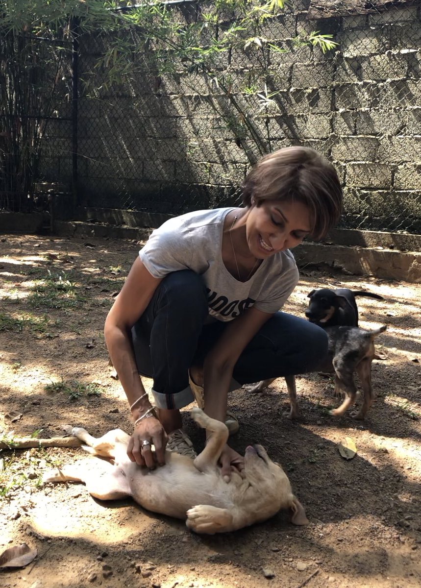 otaradel's tweet photo. Yesterday was Noori’s Lucky day! She was one of the first to find her home at adoption day.
Noori was rescued after hot water was thrown in to her eyes and on her body. She sadly lost one eye.
#EmbarkRescue #streetsogs #loveastreetpooch #embark #srilanka https://t.co/eQYyDJYKA8