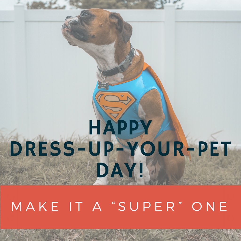laylas_legacy's tweet photo. There's no denying the healing power of pets. Show us your dressed up pets! We can all use a giggle at the of a Monday. #dressupyourpet #laylaslegacy #pettherapy #domore💛 #goldisthenewpink #cancermoonshot #motivationmonday https://t.co/ZnzO9ipWy9