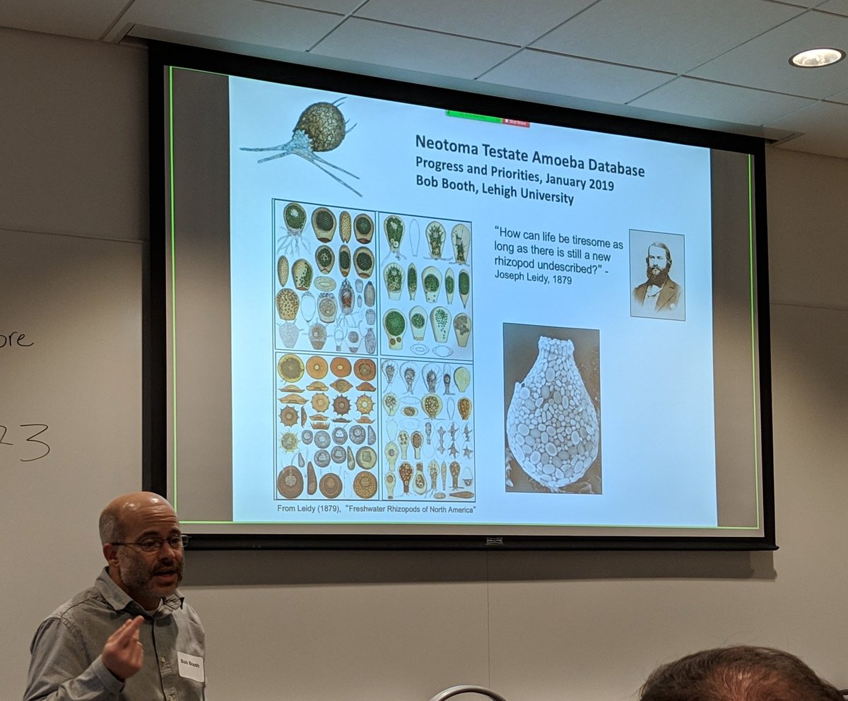 CSDFacility's tweet photo. Bob Booth, Mr. Testate Amoeba! The photomicrograph is of an individual that's made its shell "from the plates and tests of its victims." 😱 #Neotoma @neotomadb https://t.co/vFmixp2Gan