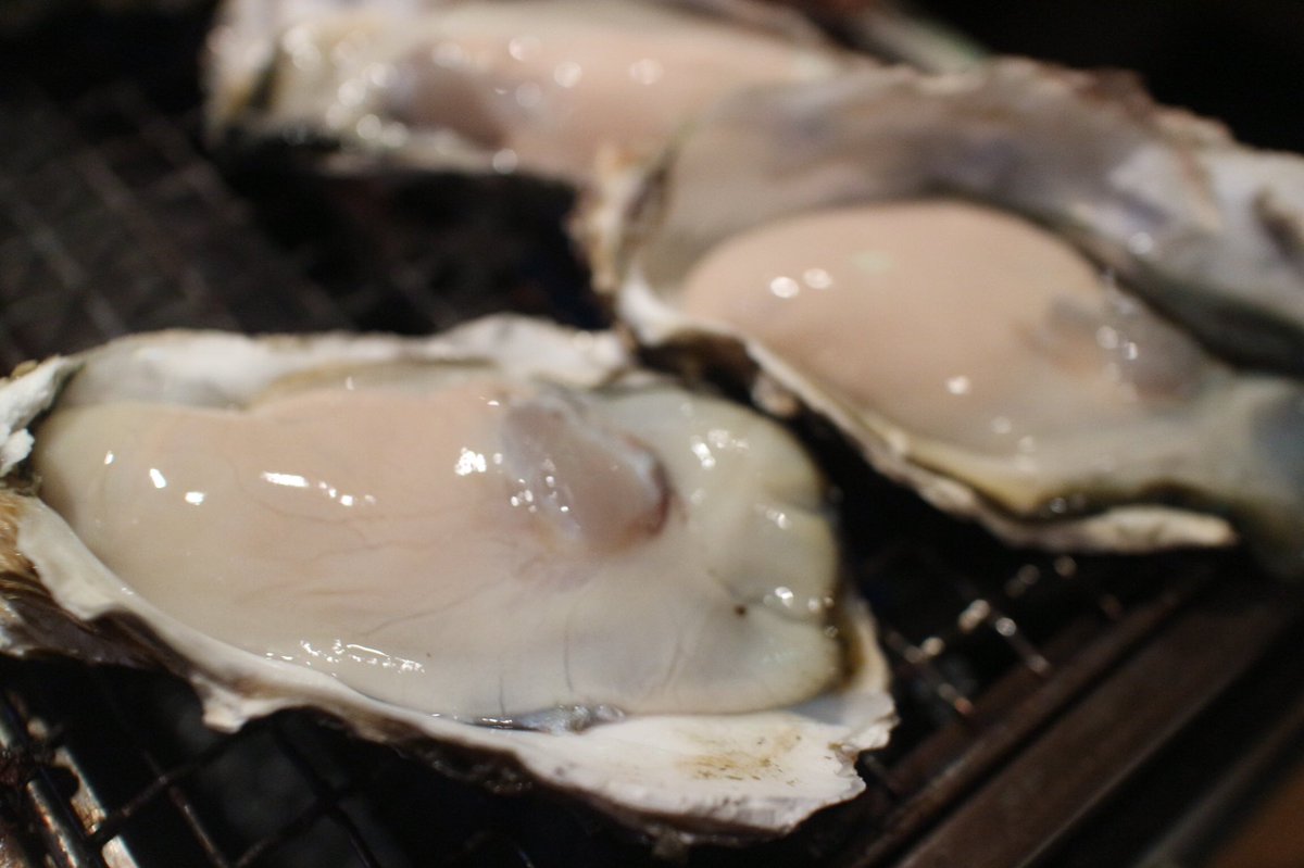 yozzeko's tweet photo. Favorite oyster restaurant UMIbal
Hi,EVERYONE!Thanks good comments everyday.
https://t.co/Hm6PtMWg7A
@umibalshinjyuku
#牡蠣食べ放題 行ってきた
#umiバル は #牡蠣
今日のリングコーデは
#リング:#equl @EQUL_shop
https://t.co/kMS6Vp0TbJ
https://t.co/NN7tl47g8D https://t.co/G8QZrdj5EX